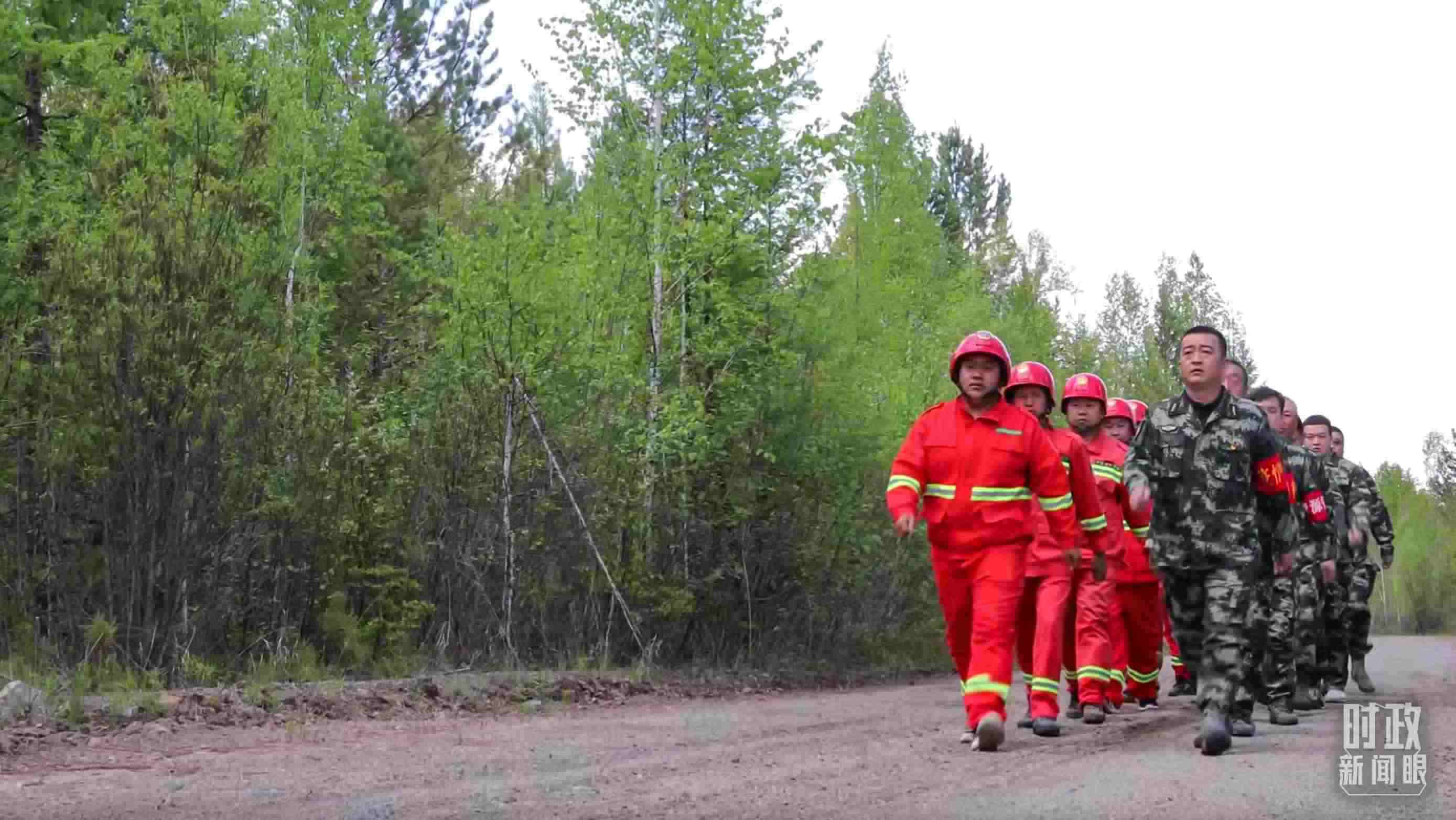 △林場里的森林巡護。
