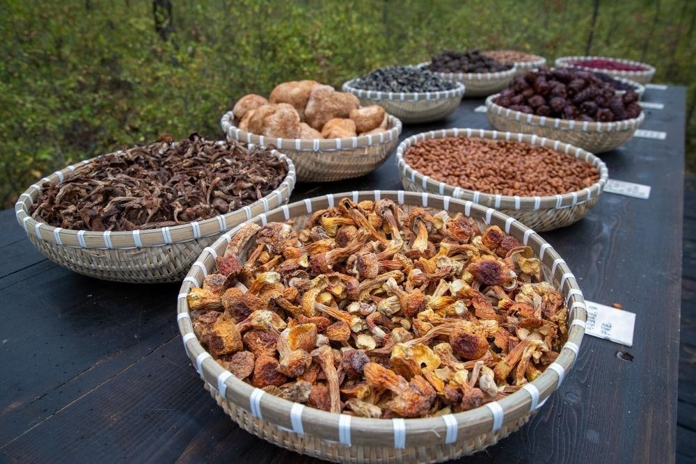 △近日，漠河市北極村一景區(qū)展示的林下產(chǎn)品。