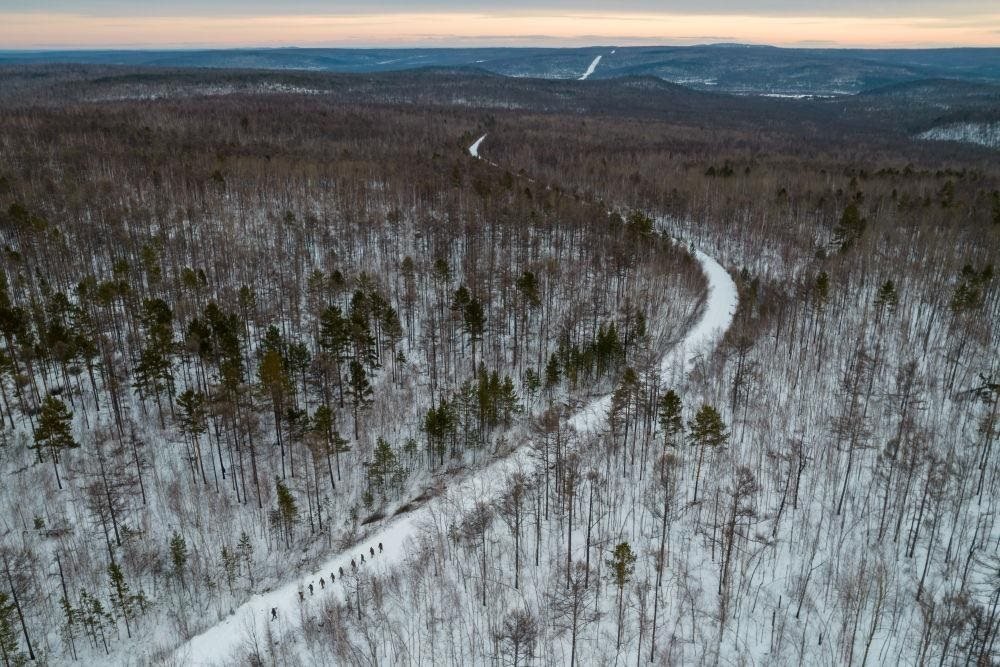 △2023年1月，漠河林場(chǎng)數(shù)十名職工自發(fā)組成的森林撫育隊(duì)伍，在人跡罕至的山林中作業(yè)。