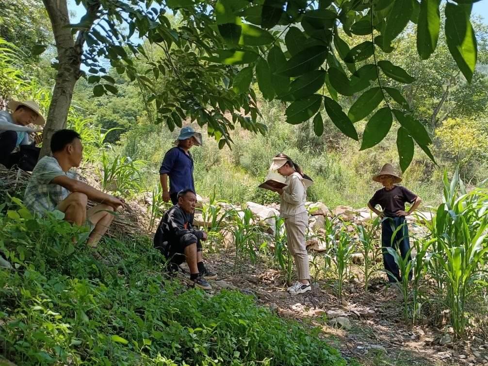 2023年7月18日，兩家村民發(fā)生土地方面的糾紛，李江女（右二）在記錄情況。受訪者供圖
