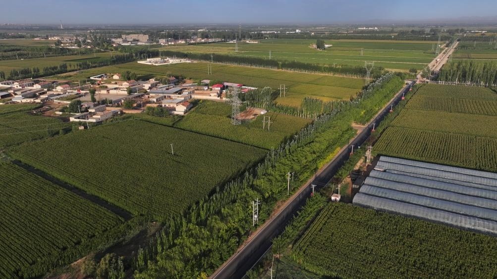 東興村周邊建起防護林網(wǎng)（無人機照片，2023年9月12日攝）。新華社記者李云平 攝