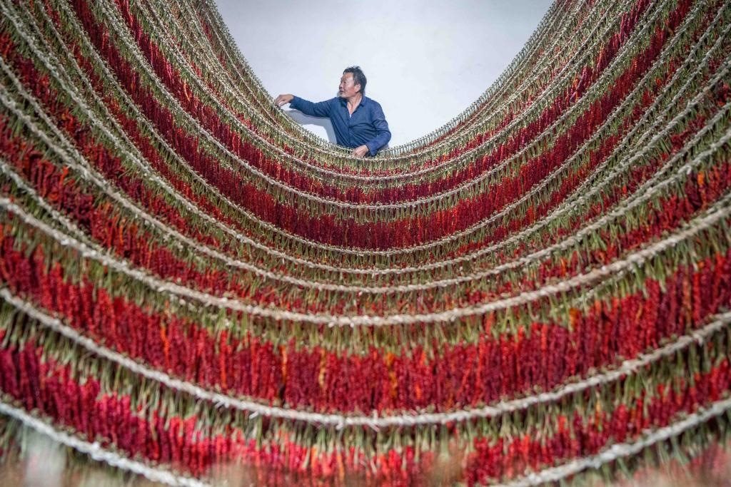 在貴州省畢節(jié)市大方縣理化鄉(xiāng)金雞村，村民查看辣椒烘干情況。新華社發(fā) 羅大富攝