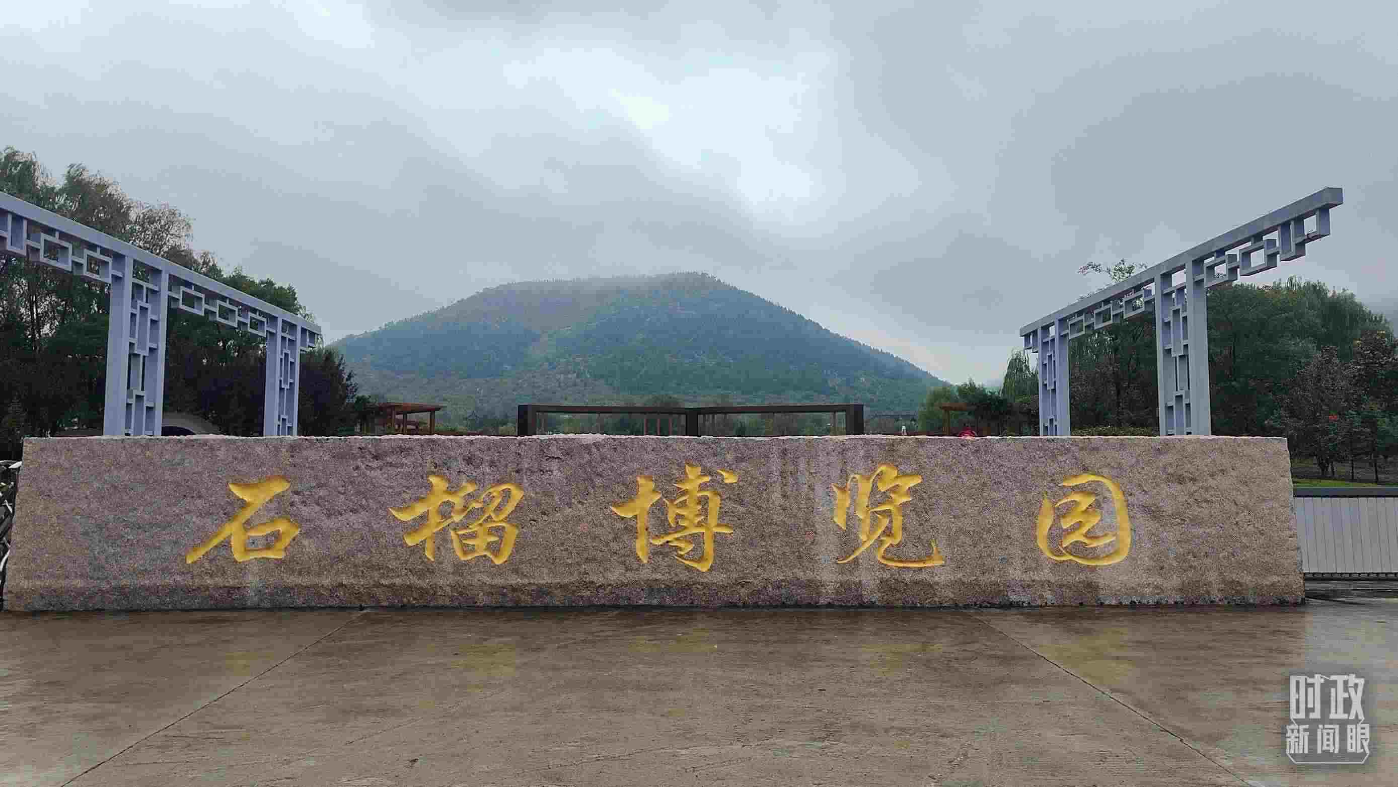 △石榴種質(zhì)資源庫(kù)位于石榴博覽園內(nèi)。（總臺(tái)央視記者楊立峰拍攝）