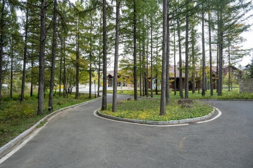 園區(qū)里“路讓樹(shù)”成為行為準(zhǔn)則。王哲攝