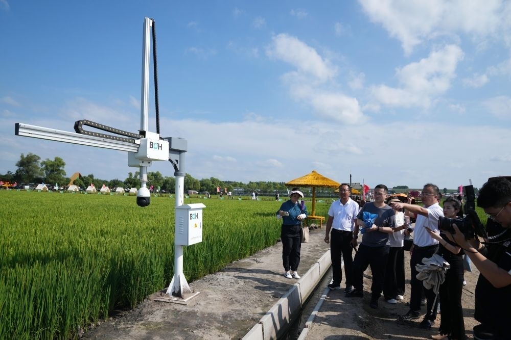 在北大荒集團閆家崗農(nóng)場有限公司農(nóng)業(yè)現(xiàn)代化示范區(qū)，工作人員在介紹利用數(shù)字技術(shù)的葉齡診斷儀（2023年8月10日攝）。新華社記者 王建威 攝