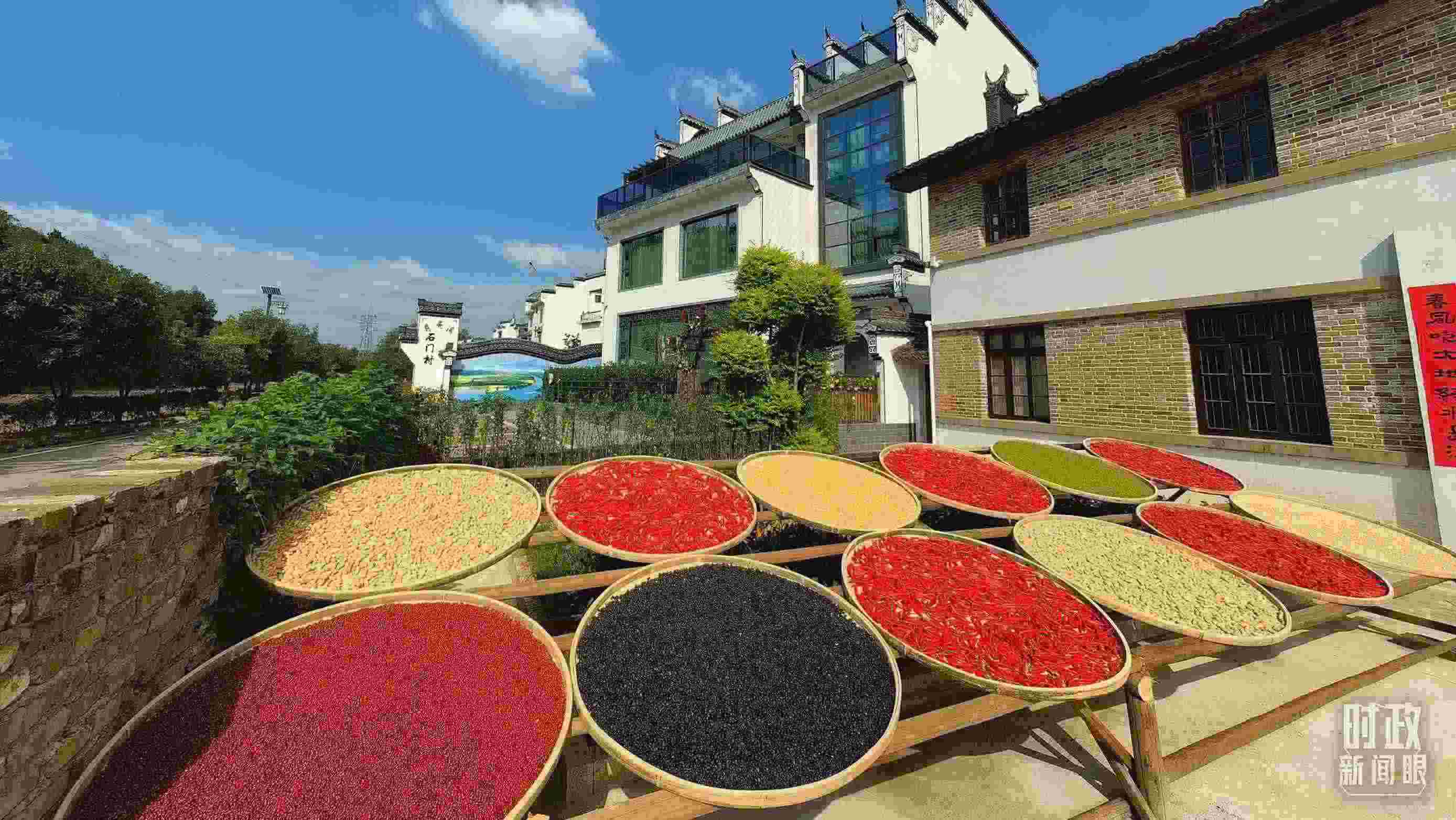 △曬秋農(nóng)俗成為婺源鄉(xiāng)村的一道美麗風(fēng)景。（總臺央視記者段德文拍攝）