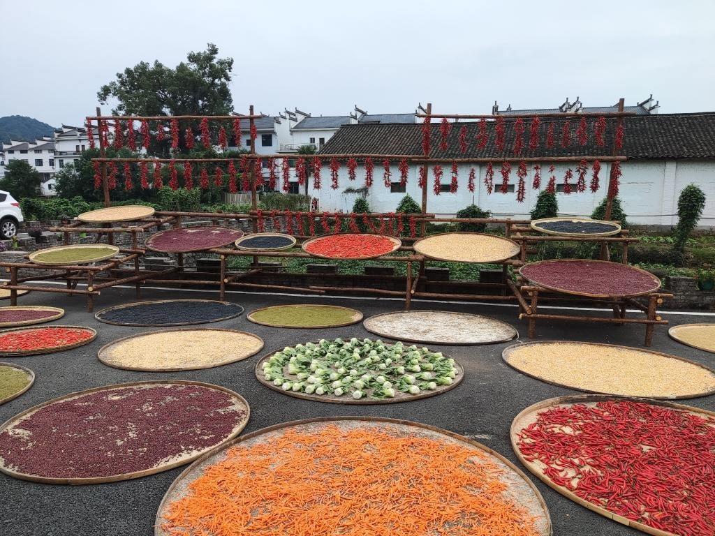 近日，江西省上饒市婺源縣秋口鎮(zhèn)王村村民晾曬的農(nóng)作物。新華社記者 劉佳敏 攝