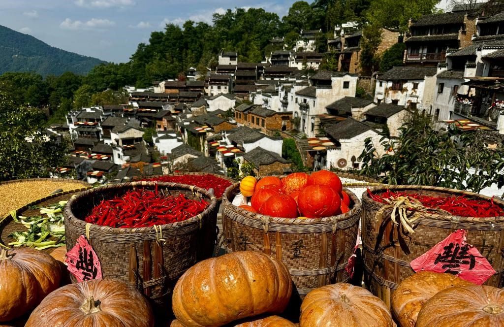 近日拍攝的江西省上饒市婺源縣篁嶺村曬秋畫面。新華社記者 胡晨歡 攝
