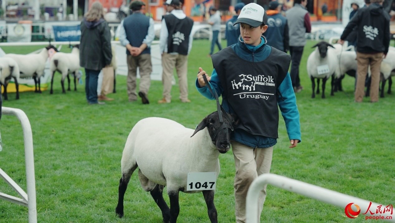 烏拉圭第118屆普拉多牧農(nóng)業(yè)國際博覽會(huì)現(xiàn)場。人民網(wǎng)記者 張若涵攝
