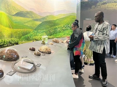  （在中國藥都中醫(yī)藥博物館，外媒記者了解中醫(yī)藥發(fā)展史。中國經(jīng)濟周刊記者 郭志強 攝）