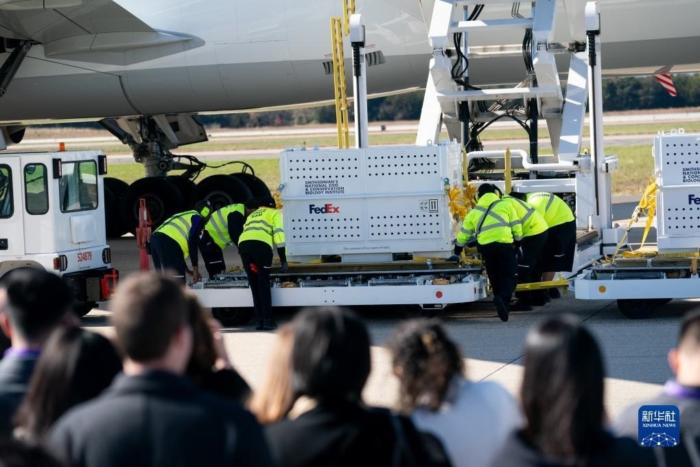 11月8日，在美國弗吉尼亞州的華盛頓杜勒斯國際機(jī)場，裝有大熊貓的特制“旅行包廂”準(zhǔn)備運(yùn)上專機(jī)。新華社記者劉杰攝