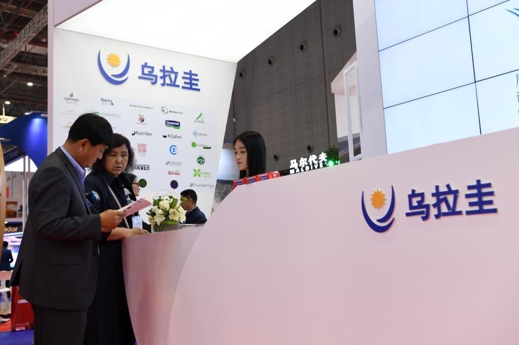 2019年11月6日，參觀者在第二屆進(jìn)博會(huì)烏拉圭國(guó)家館展臺(tái)咨詢(xún)。