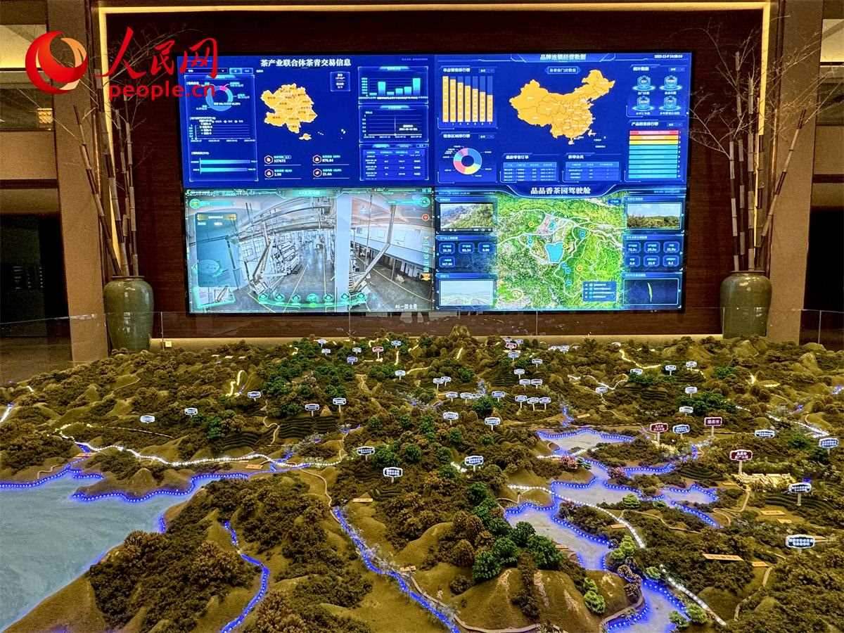 品品香白茶產(chǎn)業(yè)園信息中心數(shù)智化大屏。人民網(wǎng)記者 劉微攝