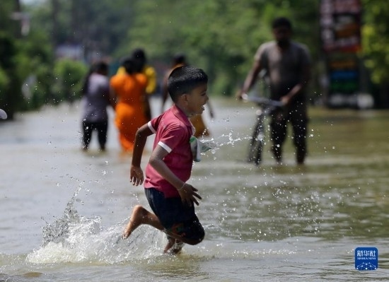 11月24日，一名男孩在斯里蘭卡加姆珀哈涉水出行。新華社發(fā)（阿吉特·佩雷拉攝）