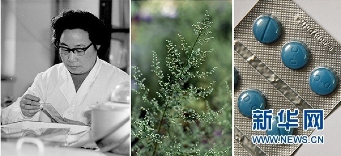 屠呦呦、青蒿和抗瘧疾成藥（拼版資料照片）