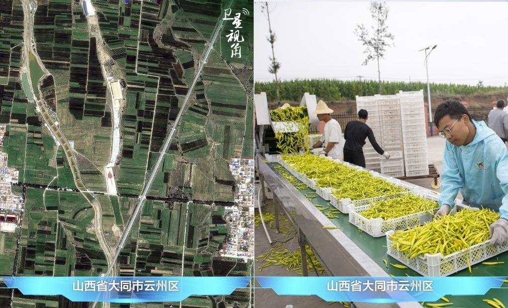 當(dāng)前，大同市開發(fā)黃花菜品、食品、飲品、功能食品、化妝品、文創(chuàng)產(chǎn)品六大系列130余種，全產(chǎn)業(yè)鏈產(chǎn)值超40億元。