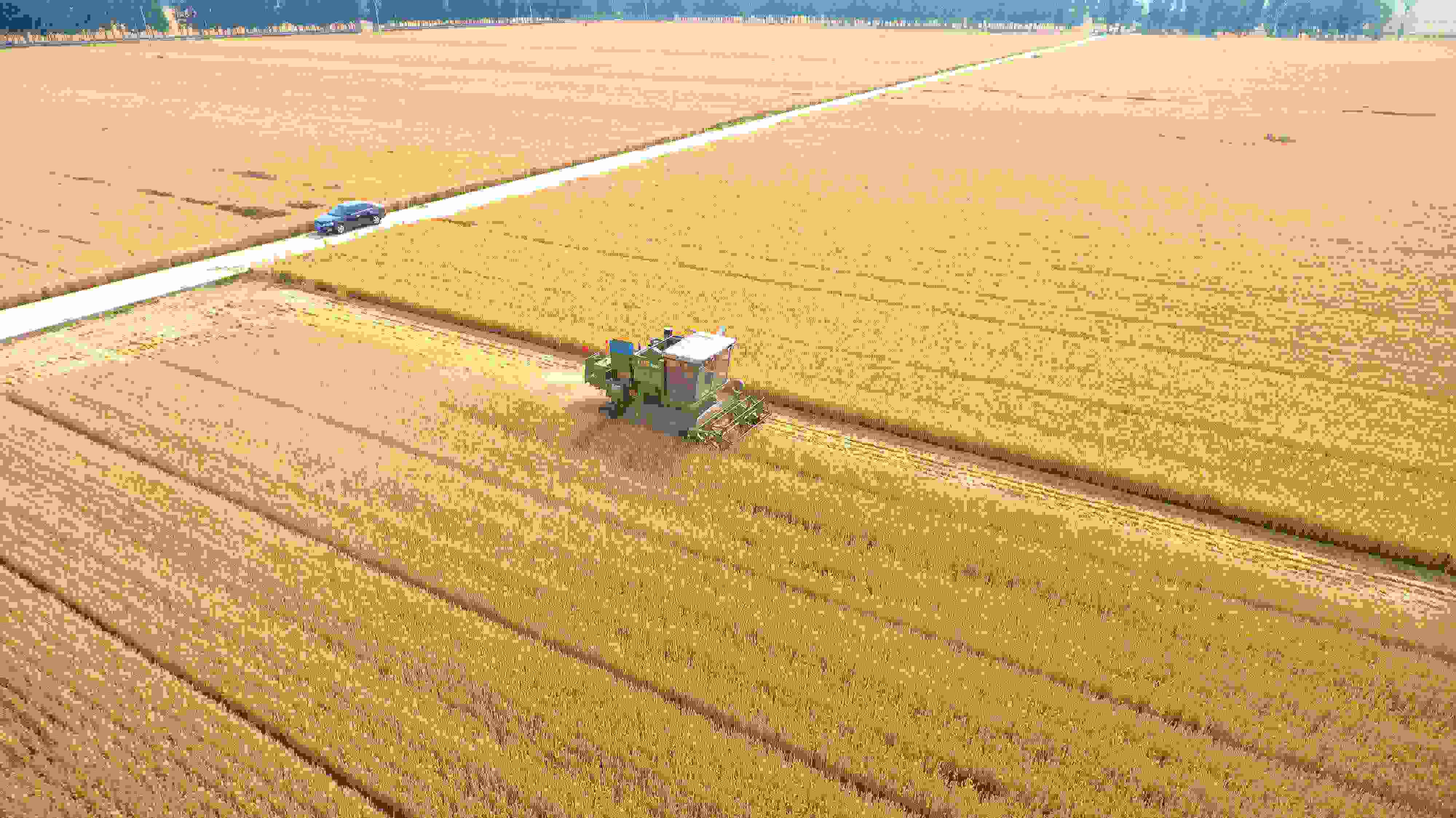 △ 2023年6月5日，山東聊城茌平區(qū)賈寨鎮(zhèn)王藥包村，收割機(jī)在田間進(jìn)行小麥?zhǔn)崭钭鳂I(yè)。