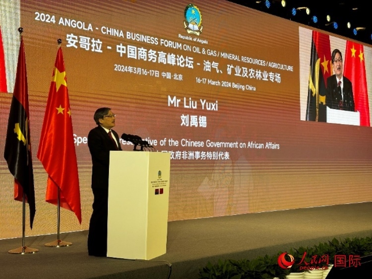 中國(guó)政府非洲事務(wù)特別代表劉禹錫。人民網(wǎng)記者 張榮攝