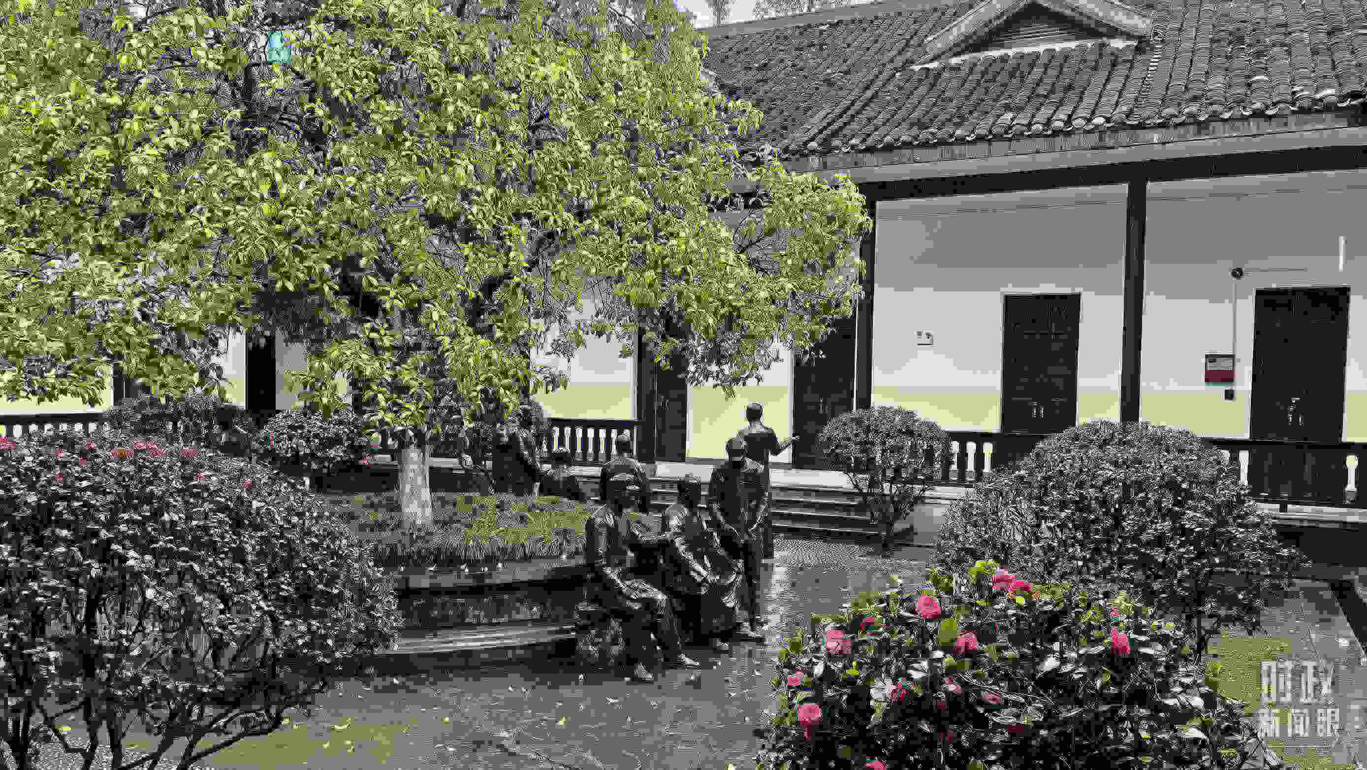 △湖南第一師范學院（城南書院校區(qū)）校園里。（總臺央視記者趙化拍攝）