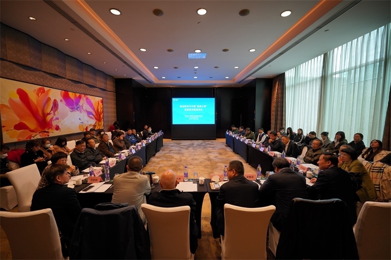 座談會現(xiàn)場。主辦方供圖