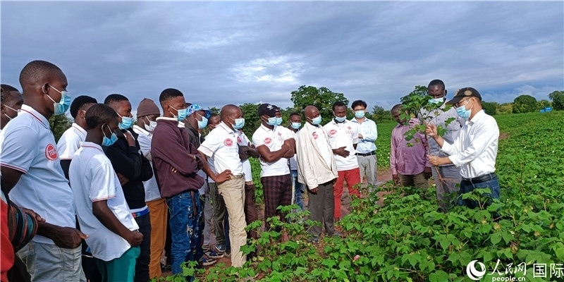 項目組長首小勇向當(dāng)?shù)孛揶r(nóng)做技術(shù)講解。人民網(wǎng)記者 黃培昭攝