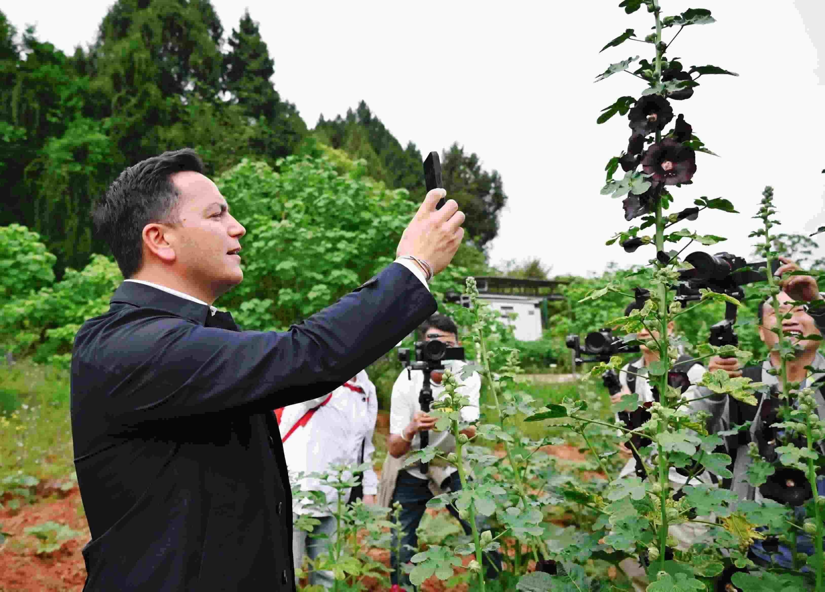  △2024年4月23日，國際園藝生產(chǎn)者協(xié)會(huì)主席萊昂納多·卡皮塔尼奧在成都市金堂縣鮮花山谷景區(qū)考察蜀葵產(chǎn)業(yè)。