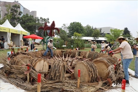 坎波·馬特活動現(xiàn)場。埃內(nèi)斯托·多明戈斯攝