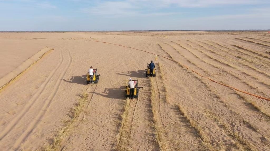 內(nèi)蒙古巴彥淖爾市烏拉特后旗西補(bǔ)隆林業(yè)管護(hù)中心職工駕駛機(jī)械鋪設(shè)壓沙障。新華社記者 李云平 攝