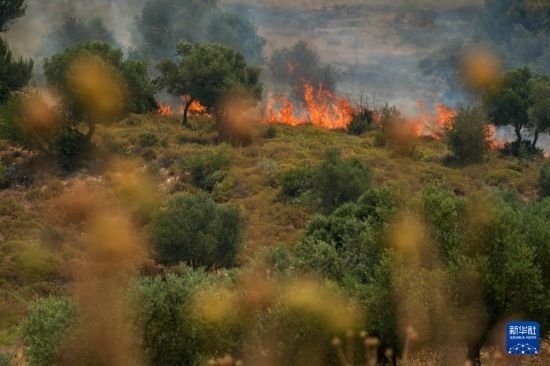 6月12日，以色列北部加利利地區(qū)遭受火箭彈襲擊后冒出滾滾濃煙。新華社發(fā)（阿亞爾·馬戈林攝/基尼圖片社）