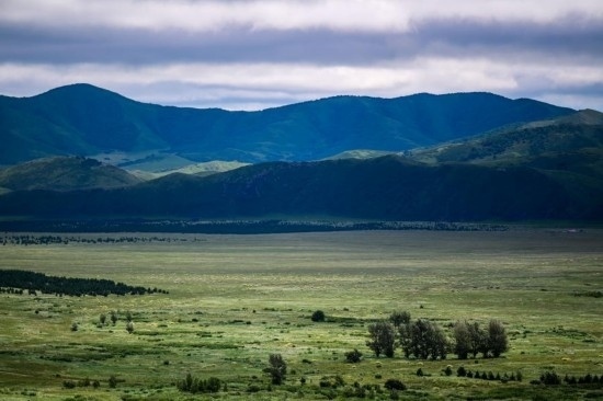 2023年8月4日拍攝的大興安嶺南麓內(nèi)蒙古罕山國(guó)家級(jí)自然保護(hù)區(qū)風(fēng)光。新華社記者 連振 攝