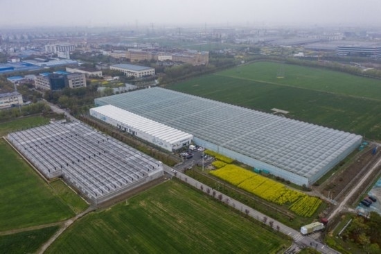 2024年3月28日，空中俯瞰嘉興南湖區(qū)湘家蕩農(nóng)業(yè)數(shù)字化工廠（無人機照片）。該農(nóng)業(yè)數(shù)字化工廠占地總面積約62畝，包含智慧農(nóng)業(yè)生產(chǎn)、物聯(lián)網(wǎng)智能管理、自動分揀包裝、保鮮儲藏物流、高科技示范展示等五大功能區(qū)，可直接或間接培養(yǎng)帶動新型職業(yè)技術(shù)農(nóng)民500人以上。新華社記者 徐昱 攝