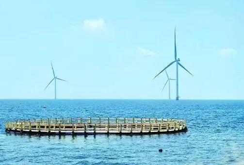 △山東萊州風(fēng)電項(xiàng)目實(shí)現(xiàn)了海上風(fēng)電和海洋牧場(chǎng)融合發(fā)展。