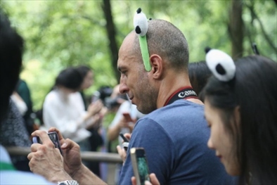 俄羅斯《俄羅斯報(bào)》視覺內(nèi)容編輯阿爾圖爾·杰魯諾夫在拍攝熊貓。（李佩藺 攝）