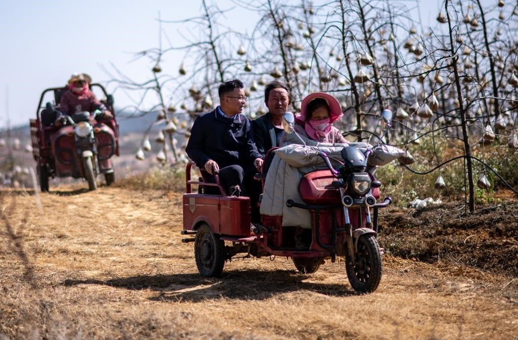 全國(guó)人大代表袁海波（右三）在云南省曲靖市馬龍區(qū)一種植基地了解務(wù)工人員就業(yè)需求（2023年2月11日攝）。新華社記者 江文耀 攝