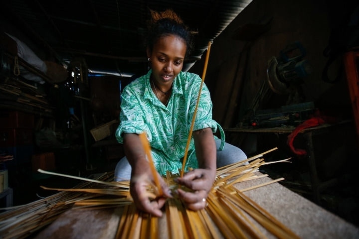 2024年8月10日，菲基爾特·加布雷在埃塞俄比亞首都亞的斯亞貝巴名為“綠色金子”的竹藤工作室里加工竹制產(chǎn)品。新華社發(fā)（邁克爾·特韋爾德 攝）