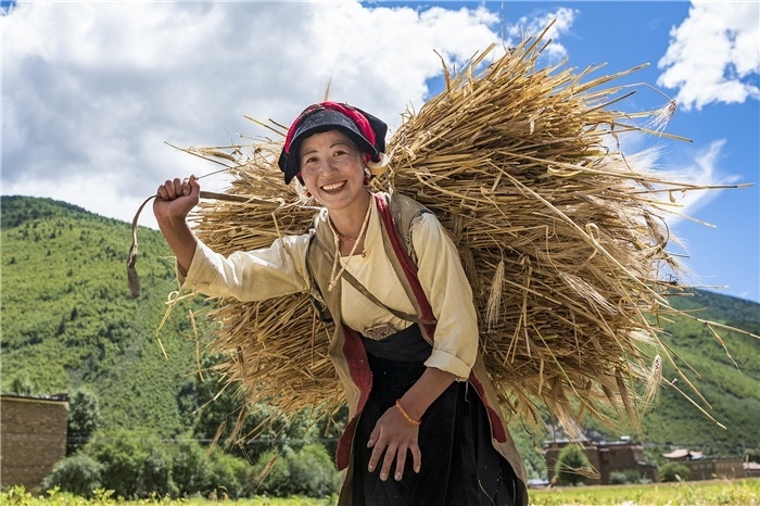 康定市甲根壩鎮(zhèn)青稞豐收，農(nóng)牧民臉上洋溢著豐收的喜悅。林革文攝