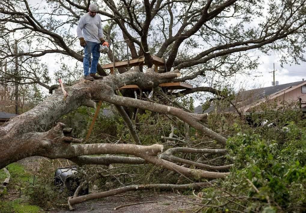 2021年8月30日，在美國路易斯安那州霍馬，一名男子站在被颶風(fēng)吹倒的大樹上。新華社發(fā)（尼克·瓦格納 攝）