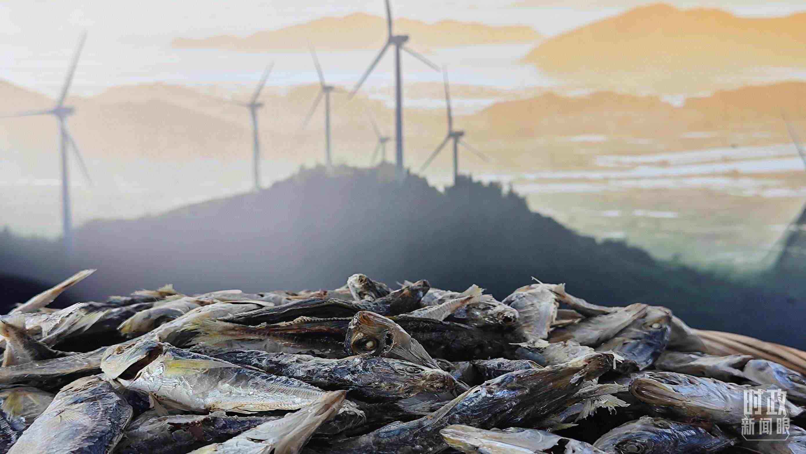 △澳角村的海產(chǎn)品。（總臺(tái)央視記者許永松拍攝）