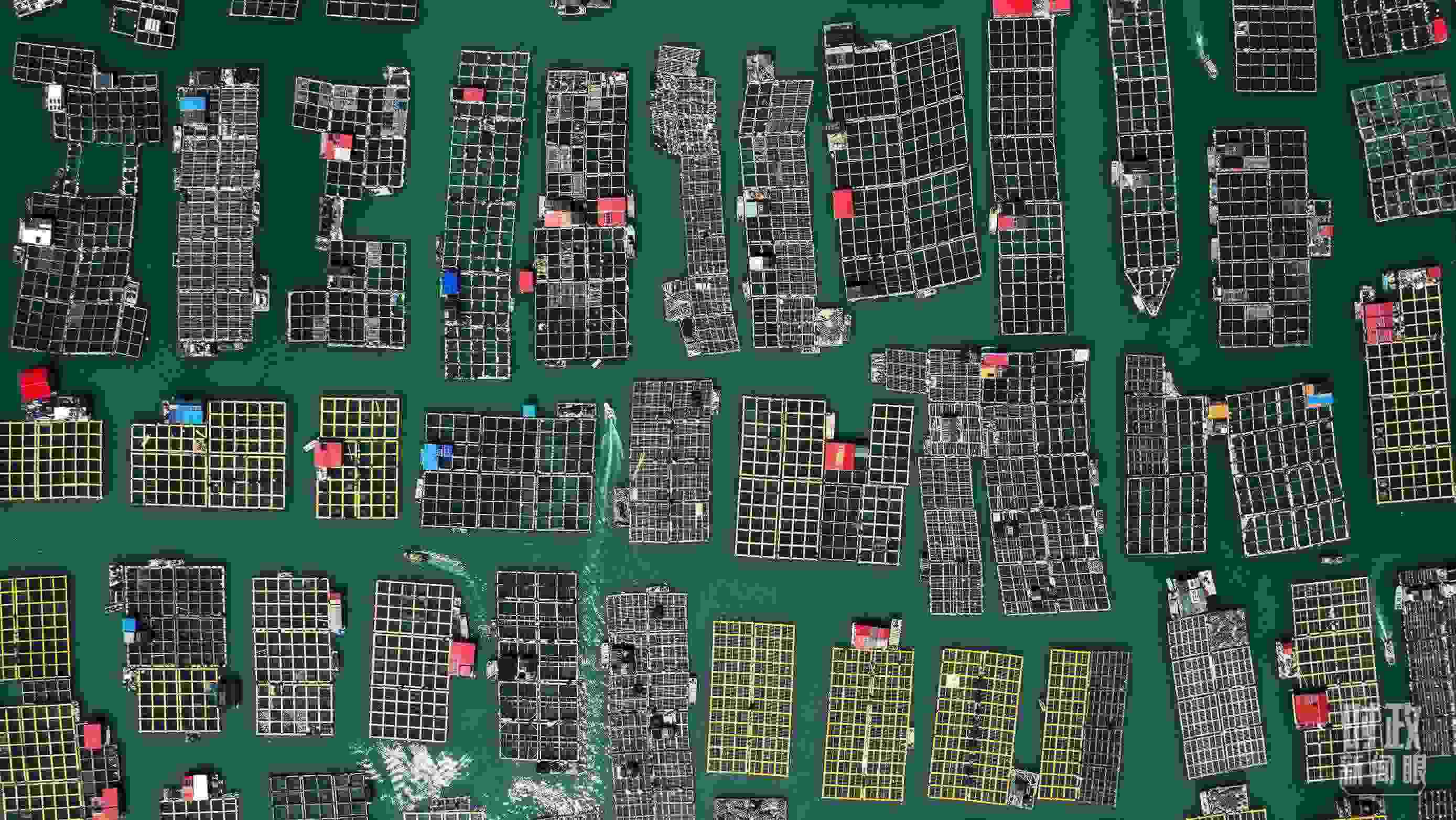 △澳角村。（總臺(tái)記者李晉拍攝）