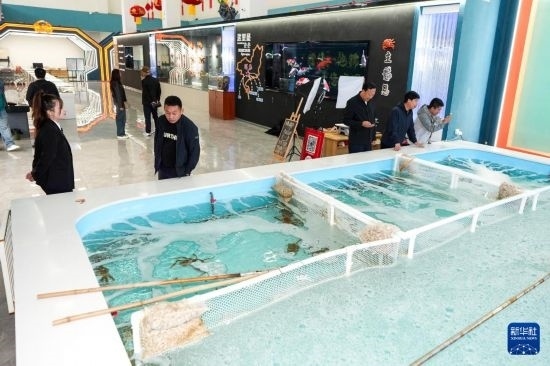 9月20日，游客在吉林省琿春市的帝王蟹保稅店內(nèi)選購(gòu)帝王蟹。新華社記者 許暢 攝