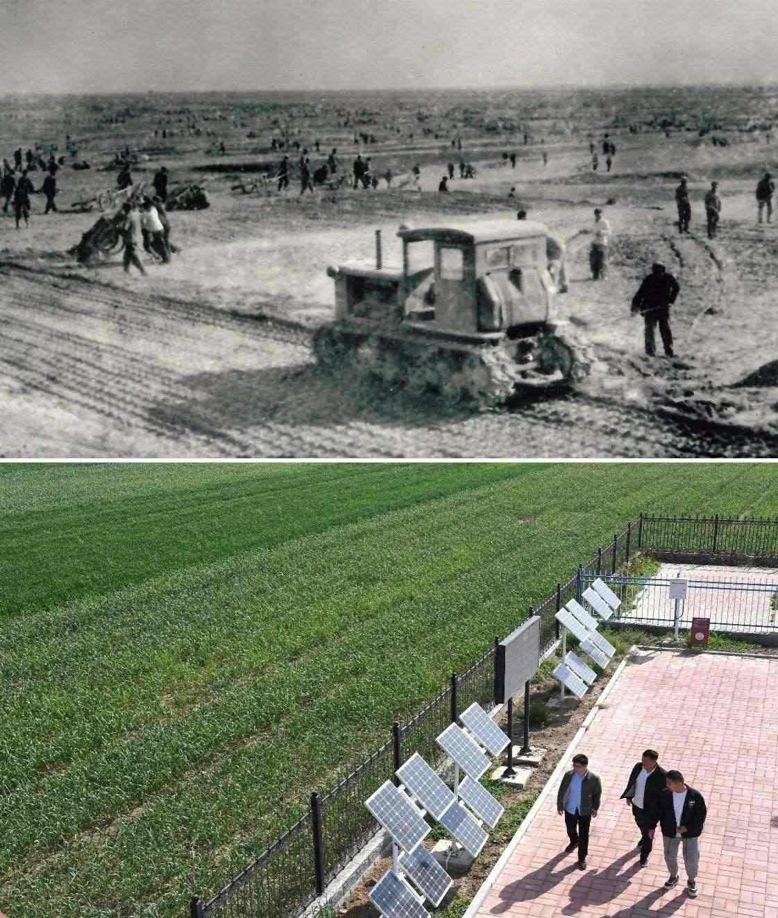 上圖為二十世紀(jì)六十年代蘭考改造鹽堿地的情景（資料照片）；下圖為2024年4月18日拍攝的蘭考縣紅廟鎮(zhèn)高標(biāo)準(zhǔn)農(nóng)田示范區(qū)。（新華社記者 朱祥 攝）