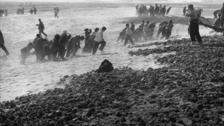 蘭考群眾在拉淤土壓沙。（新華社記者 鄧歷耕 攝）