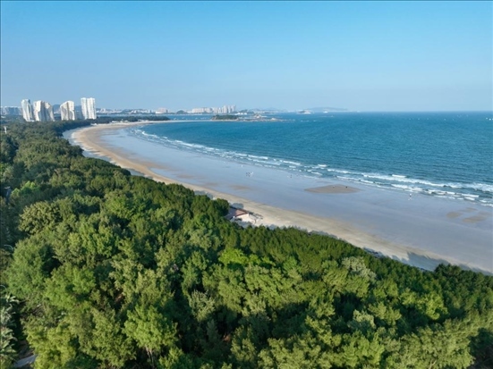 郁郁蔥蔥的東山縣沿海防護(hù)林（無(wú)人機(jī)拍攝）。新華社記者 姜克紅 攝