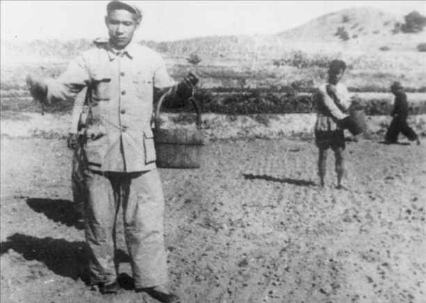 △ 谷文昌在福建省東山縣坑北村參加播種。