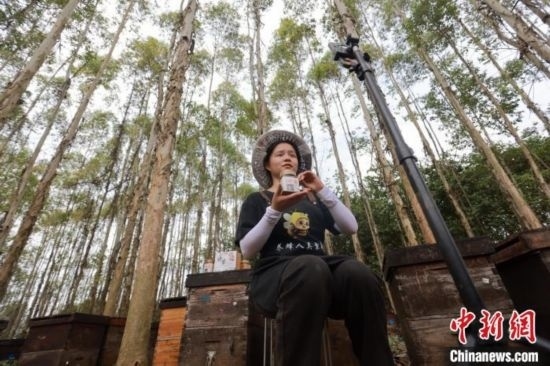 吳素英在網(wǎng)絡(luò)平臺(tái)直播介紹蜜蜂和養(yǎng)蜂情況。湯曉逵 攝