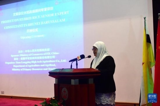 10月26日，文萊初級(jí)資源與旅游部常任秘書圖蒂亞蒂在斯里巴加灣市出席中國與文萊雜交水稻高級(jí)專家顧問項(xiàng)目啟動(dòng)儀式。新華社記者 李萌 攝