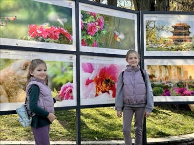 活動現(xiàn)場。中國駐保加利亞大使館供圖。