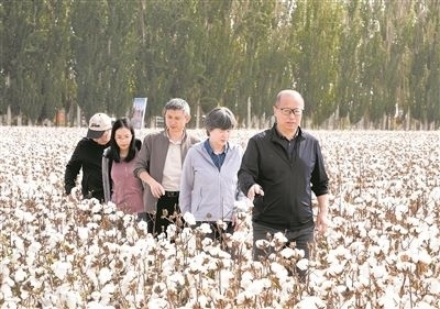 李召虎團(tuán)隊(duì)成員在棉田了解試驗(yàn)情況。 受訪單位供圖