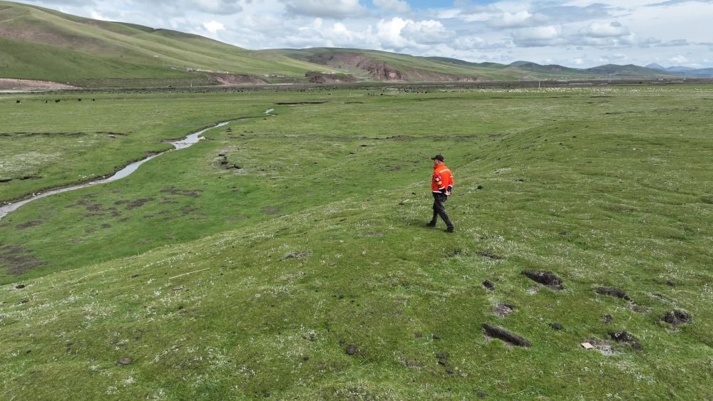 9月24日，生態(tài)管護員那瓦才郎在草場上巡護。（受訪者供圖）
