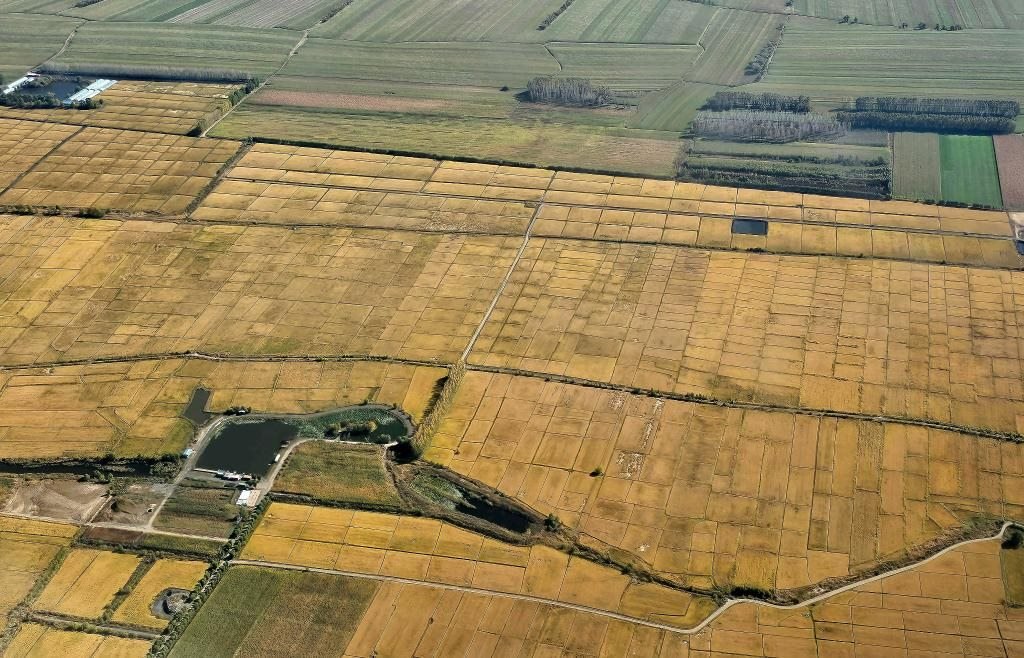 俯瞰黑龍江省哈爾濱市一處稻田（10月2日攝，無(wú)人機(jī)照片）。新華社記者 孫曉宇 攝